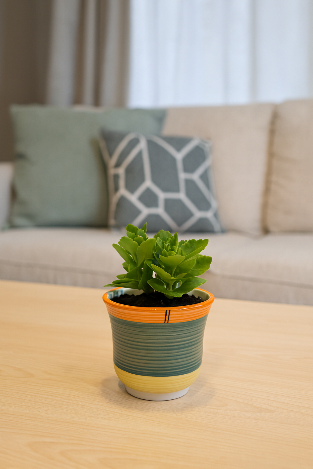 Ceramic Planter with Drain Hole