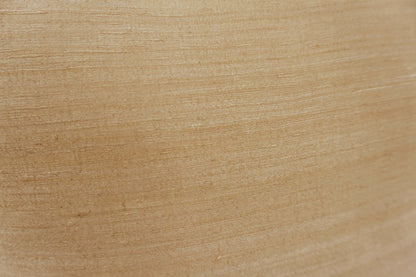 Raw Silk Throw Pillow 18" Tan