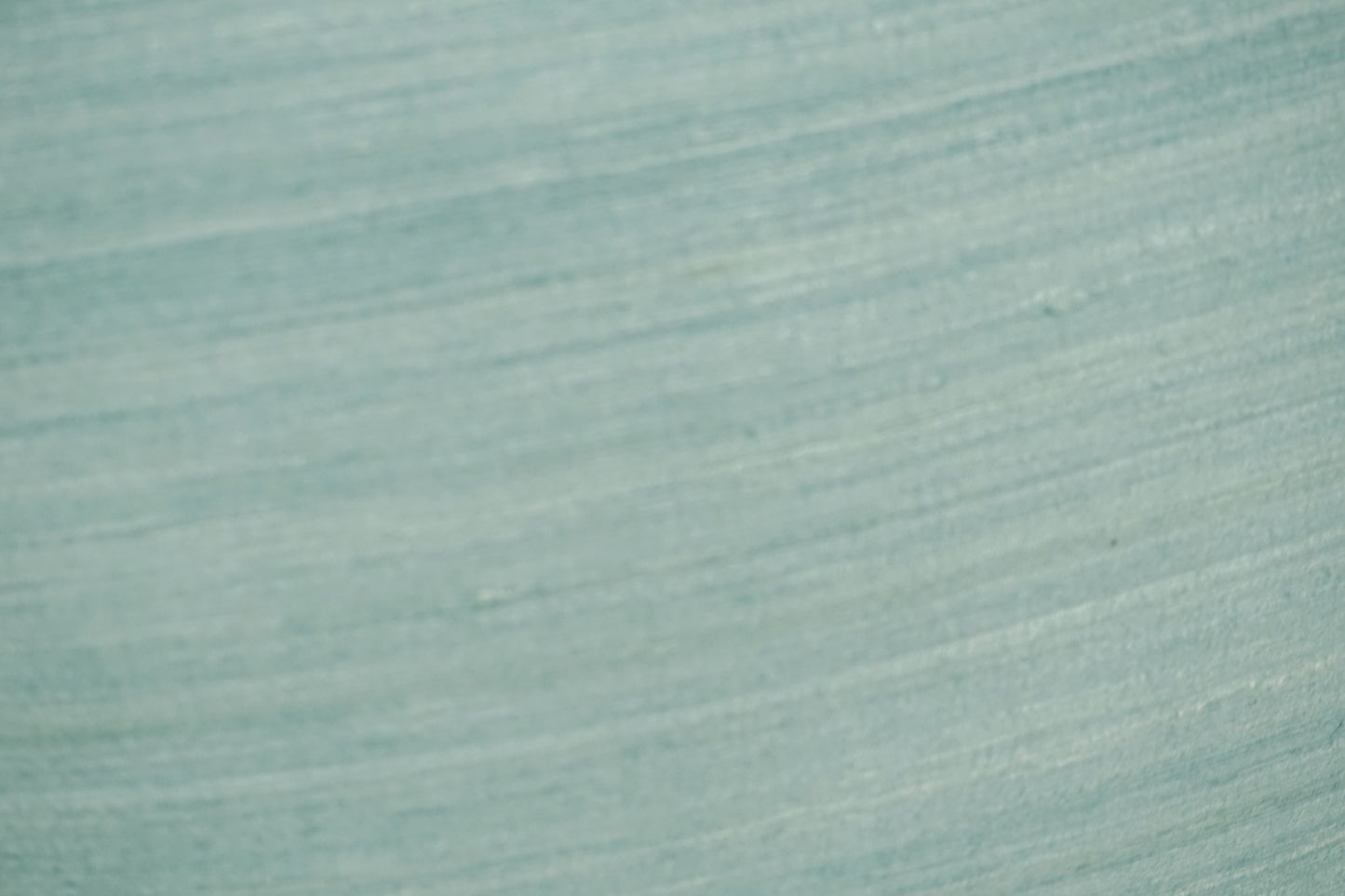 Raw Silk Throw Pillow 18" Light Green